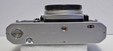 _7300005 crop web.jpg