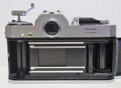 _7300006 crop web.jpg