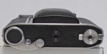 _8010005 crop web.jpg