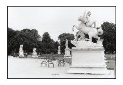 Tuileries - Paris APUG.jpg