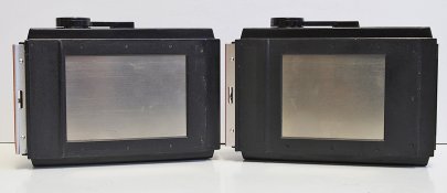 _7310006 crop web.jpg