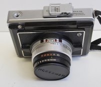 _7310008 crop web.jpg