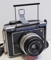 _7310009 crop web.jpg