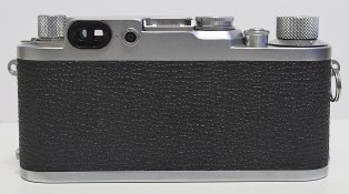 _8080002 crop web.jpg