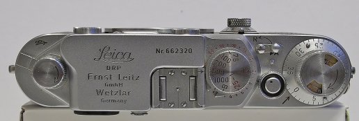 _8080005 crop web.jpg