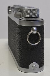 _8080003 crop web.jpg