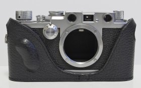 _8080008 crop web Zhou.jpg