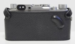 _8080001 crop Zhou back web.jpg