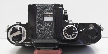 _7300007 crop web.jpg