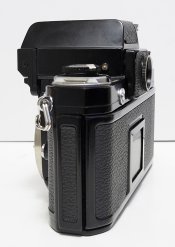 _7300001-1 crop web.jpg