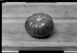 tomato_scan.jpg