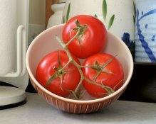 tomatoes3.jpg