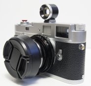 _8180011 crop web.jpg