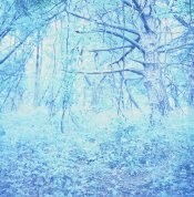 2C071755-B38C-4435-A84C-F5AAA201F6BA.jpeg