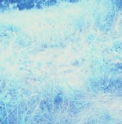 C3459FAA-F31F-4910-9464-D47310A0E9B7.jpeg