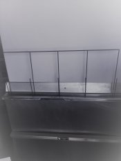 SLO June 2020 346 (2).JPG