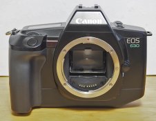 _8230009 crop web.jpg