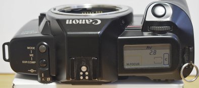 _8230007 crop web.jpg