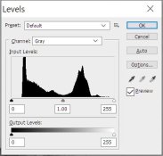 Photoshop histogram.jpeg