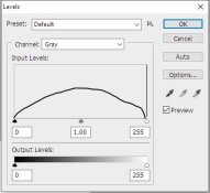 Blank histogram 2.jpg