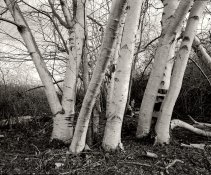 55A-2015-02-16-3.jpg