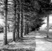 Rolleiflex 2.8F Test Photo - 3.jpg