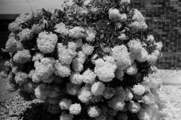 Canon-Wollensak - 3.jpg