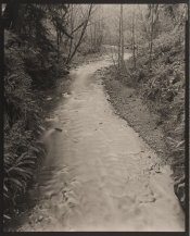 Hutchins_LostManCr_RNP.jpg