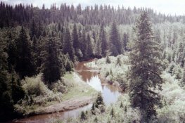 img064.jpg