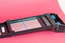 Polaroid 550 (3).jpg