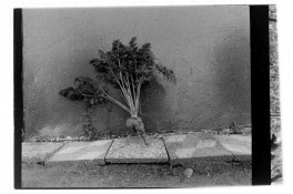 B4B416BD-57D1-467E-95D1-E45F6CA98DA1.jpeg