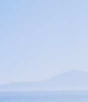 Pro_Image_100_granularity.jpg