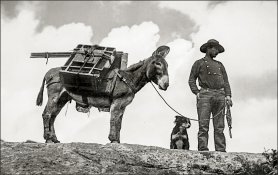 whjackson-with-mule-and-dog_orig.jpg
