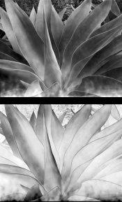 B125D59D-5CD1-4514-9FEC-0B5E3F29399A.jpeg