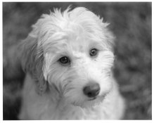 conor003-small.jpg conor003-small.jpg