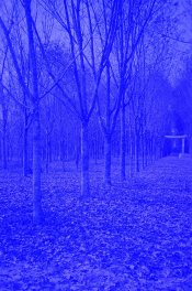 0019_###-RESIZE.jpg
