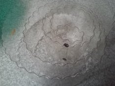 20201020_223103.jpg 20201020_223103.jpg