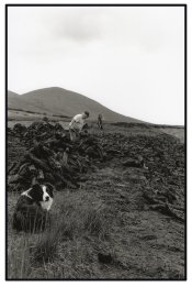 Peat Farming - Southern Ireland APUG.jpg