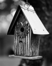 birdhouse-test-lf-002.jpg birdhouse-test-lf-002.jpg