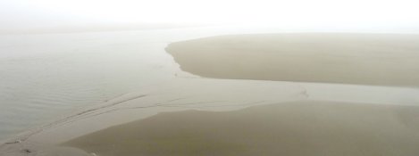 MouthMadFog1.jpg