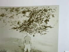 IMG_0198.jpg