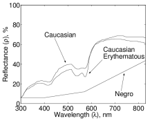shows-spectral-reflectance-curves-of-human-skin-2-17-The-uppermost-is.png