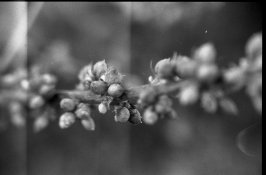 Shutter_03-1.JPG