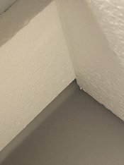 Photo Nov 14, 11 22 11 AM.jpg