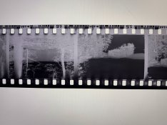 IMG_8062-min.jpg