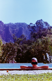 Image 15.png