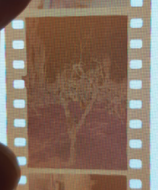 Image 17.png