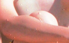 Bubbles.jpg