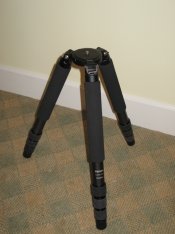 IMG_2467.jpg