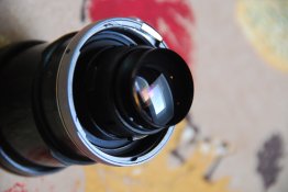DSC_8442.JPG